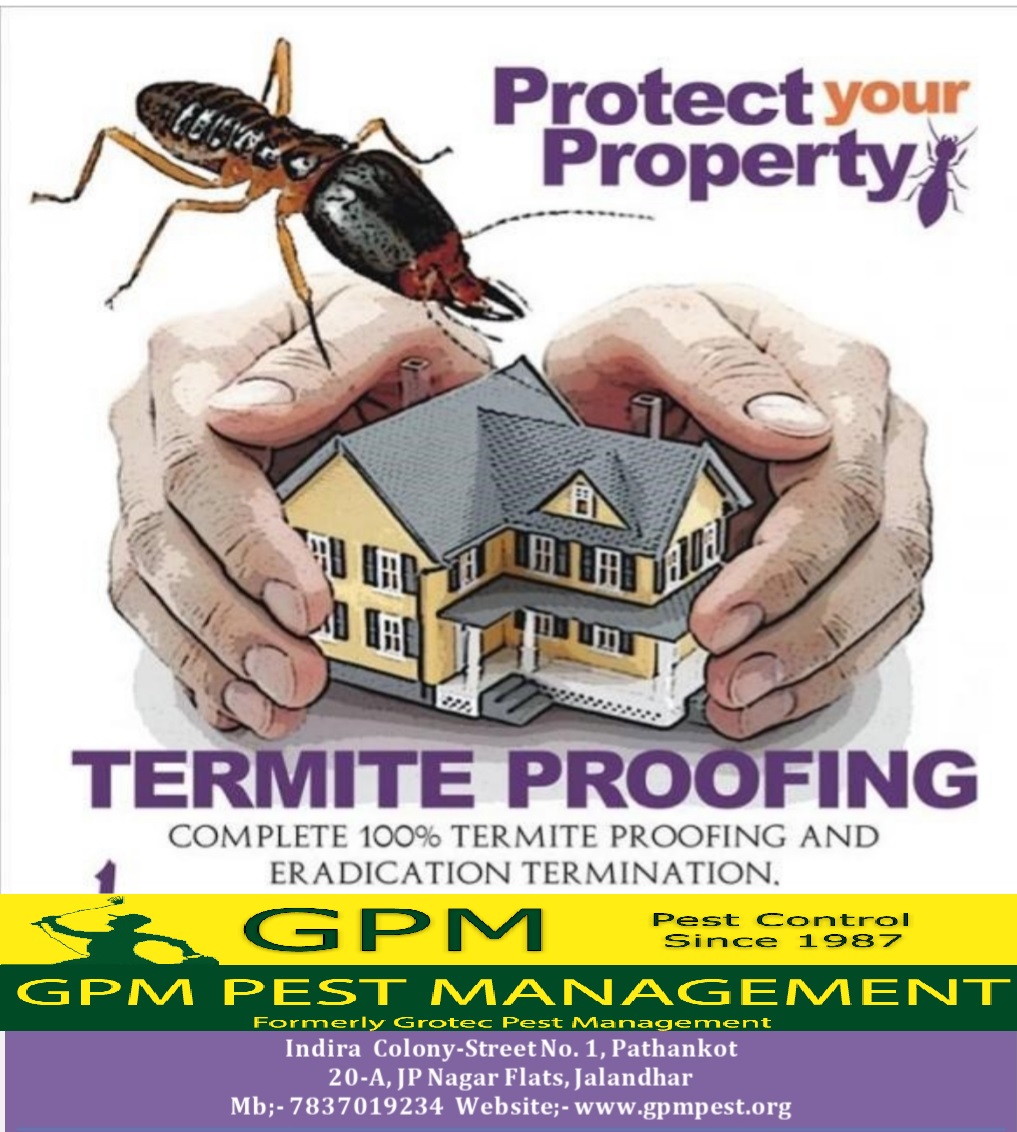Post-construction termite treatment protecting newly built homes in Jalandhar