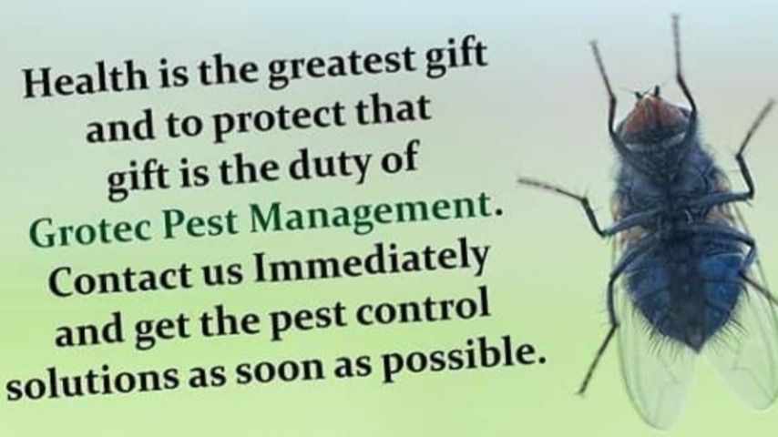 Pest control in Gurdaspur agricultural and residential properties