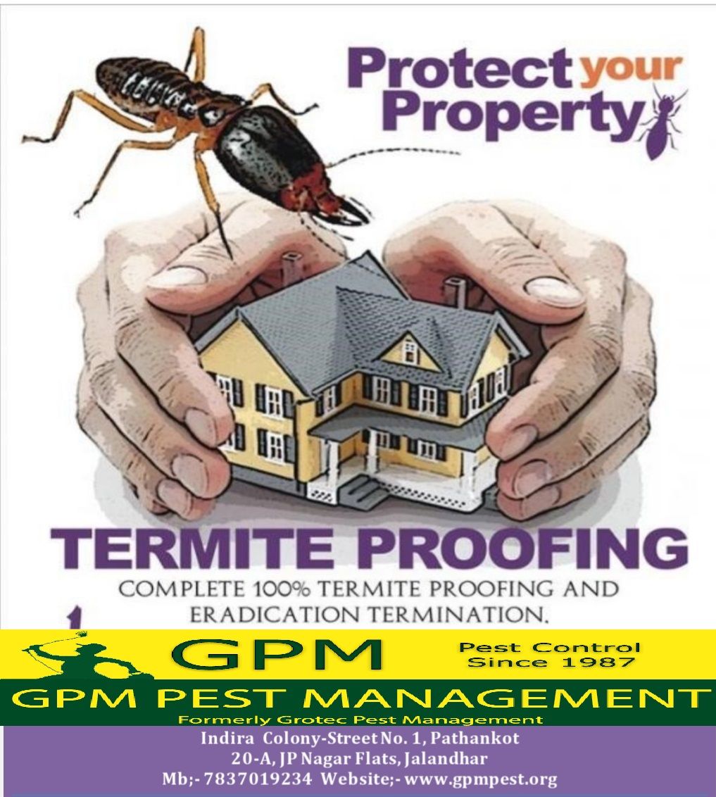 Post-construction termite drill-fill-seal treatment in Jalandhar