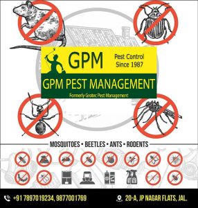 gpm pest Management