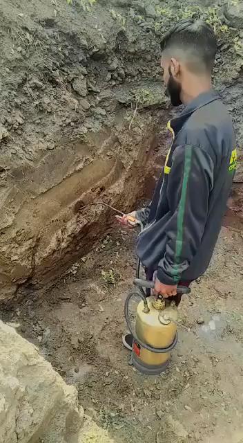 GPM-Pest-Management-Termite-Work-in-Jalandhar-Termite-Work